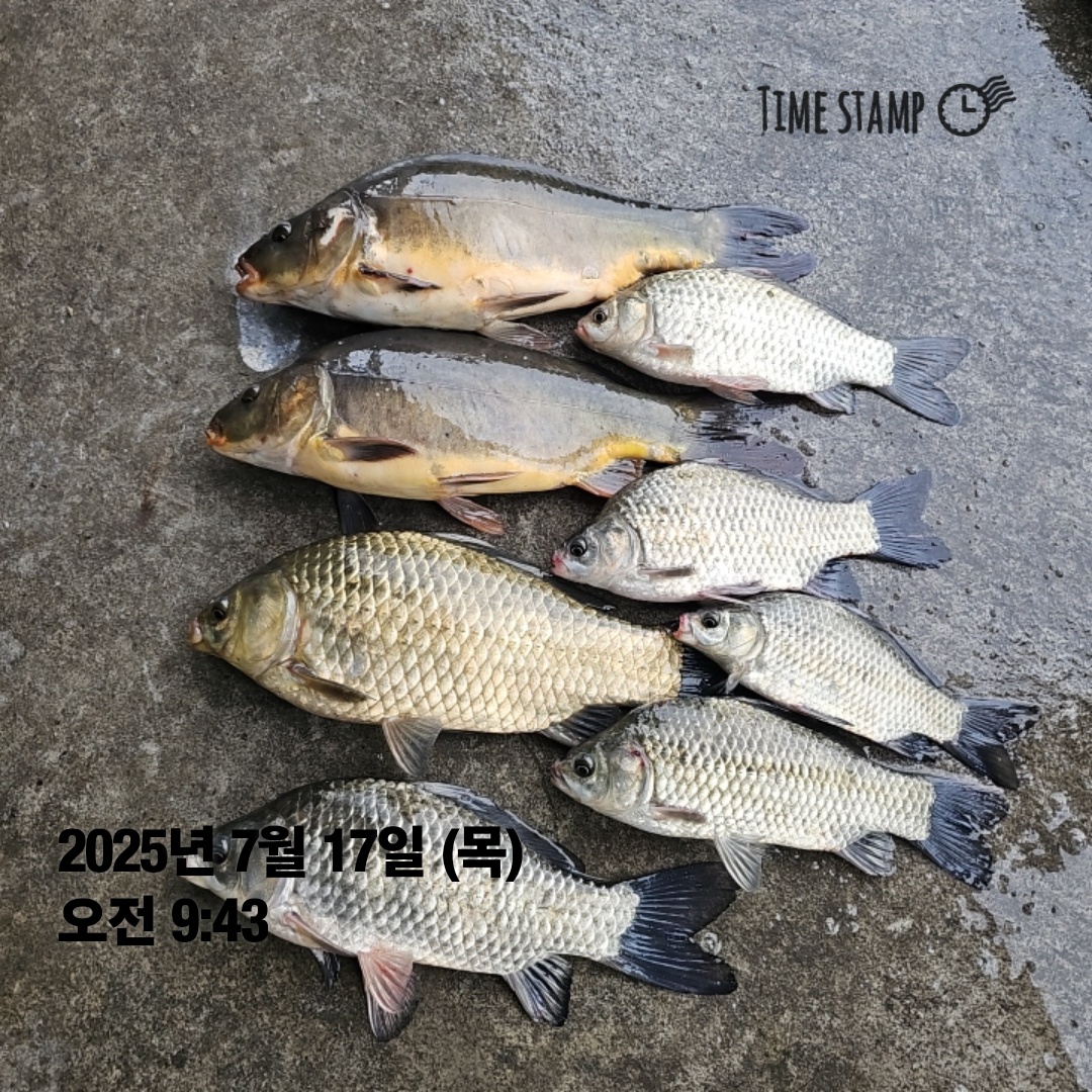 1000050114.jpg