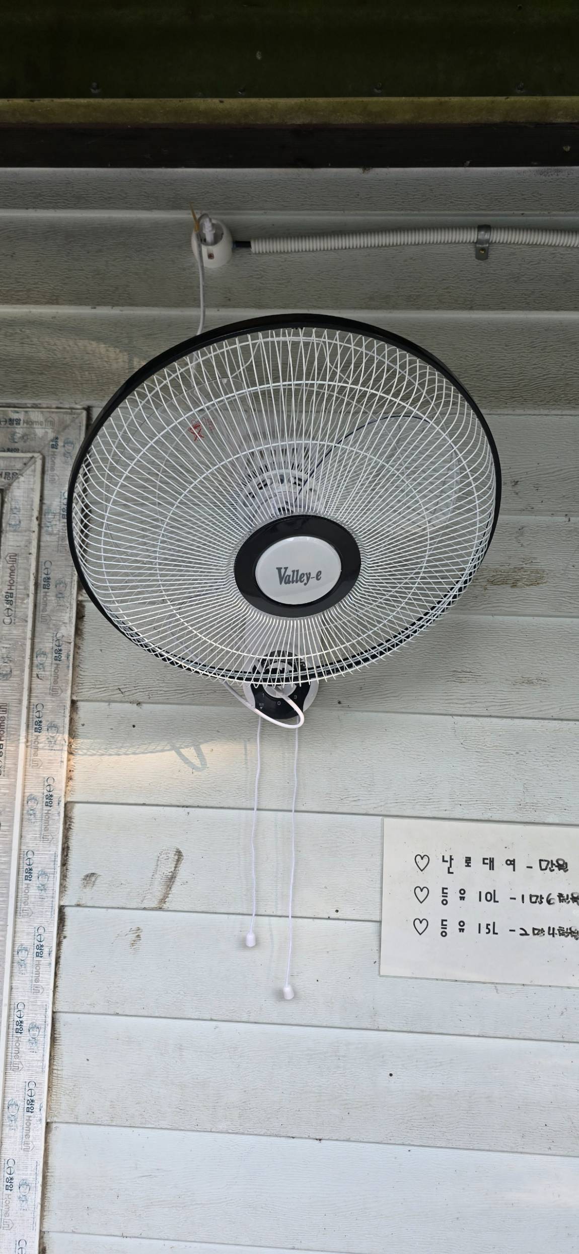 1000038116.jpg