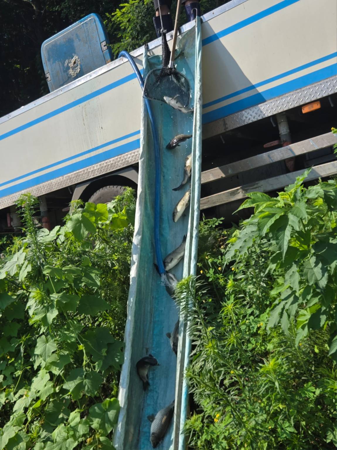 1000018757.jpg