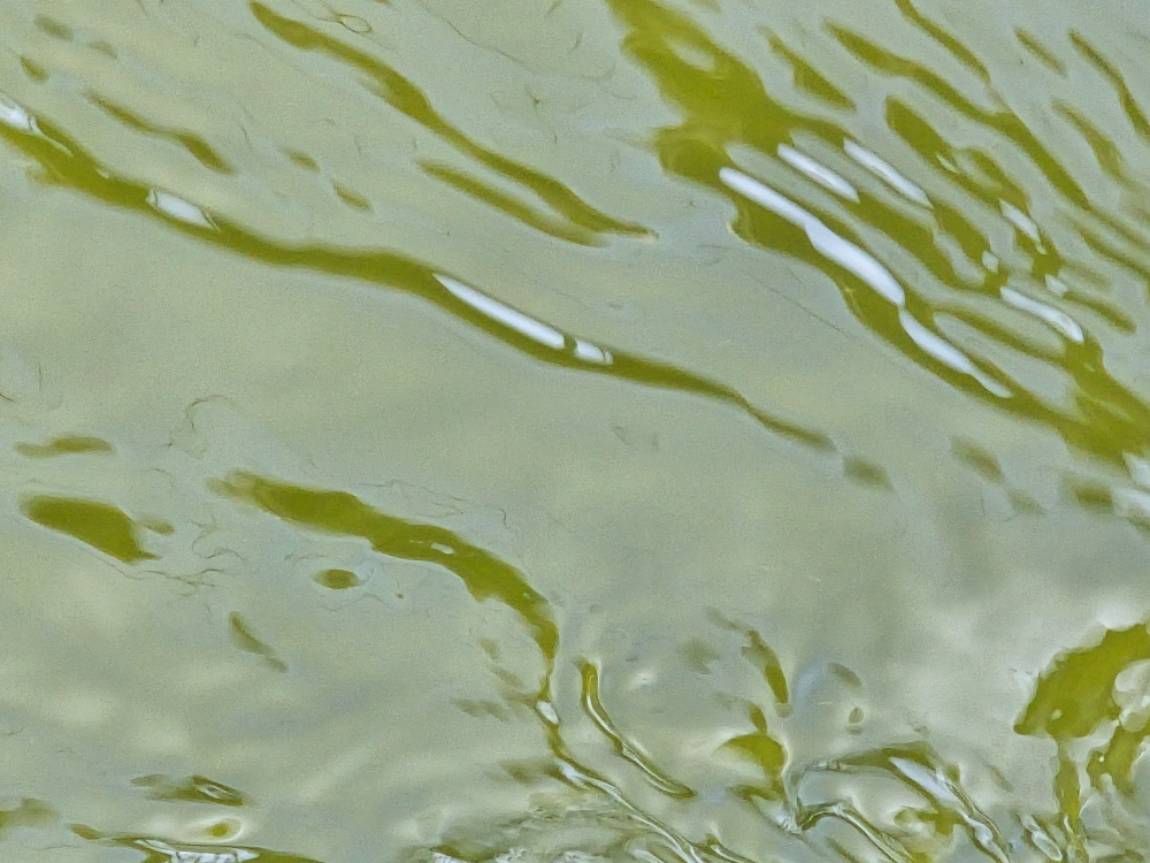 1000032574.jpg
