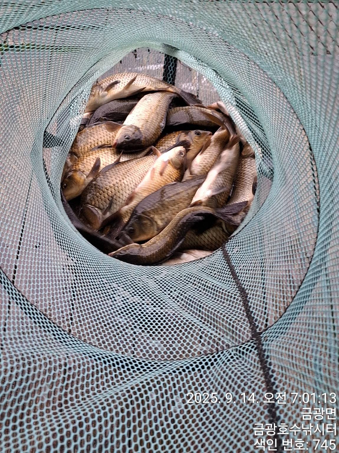 1000040701.jpg