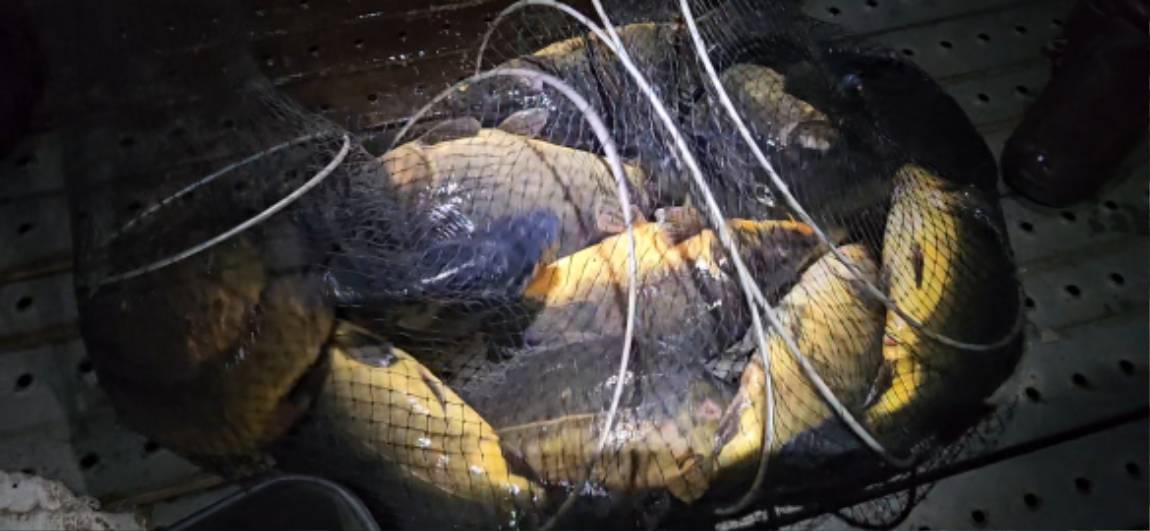 Screenshot_20260324_105021_MX Player(1).jpg