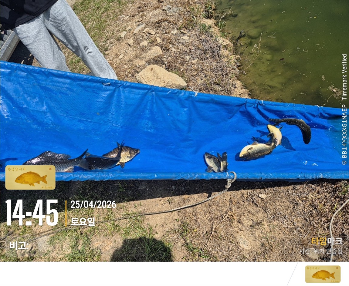 2026-04-25 4.45.57__%28%EB%B9%84%EA%B3%A0-%29_YFYDYBHHHAJHIBCBGJCFCFJJBJ.jpeg