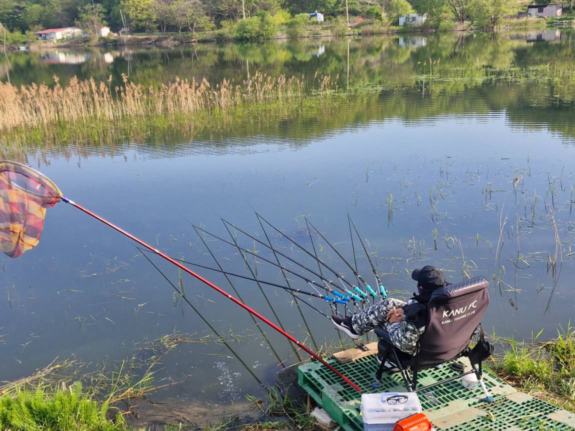 1000018936.jpg