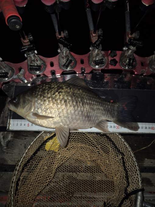 1000093830.jpg