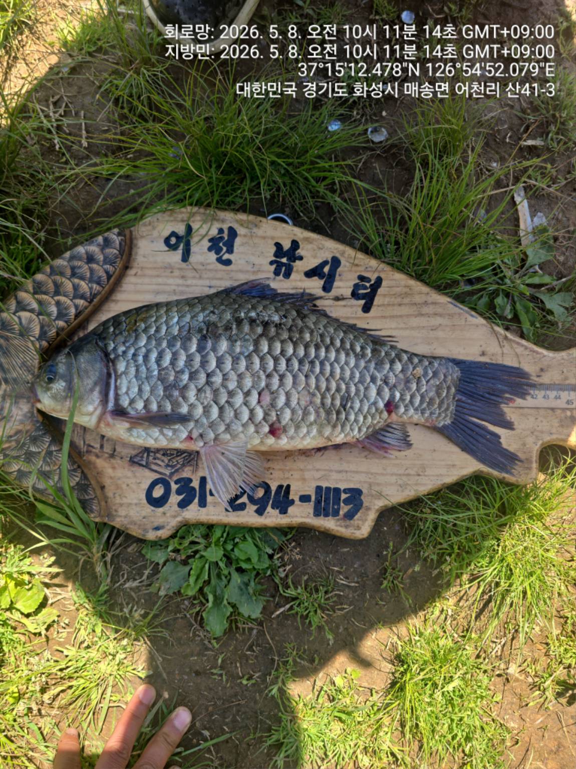 1000101139.jpg