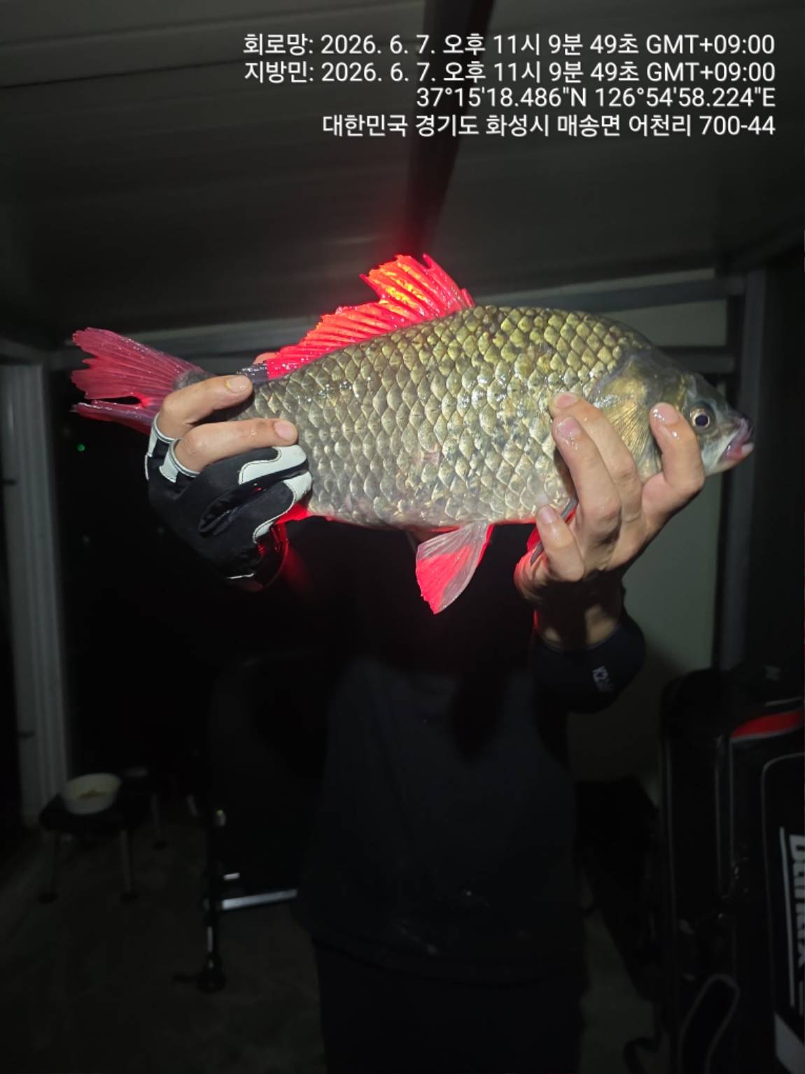 1000107464.jpg