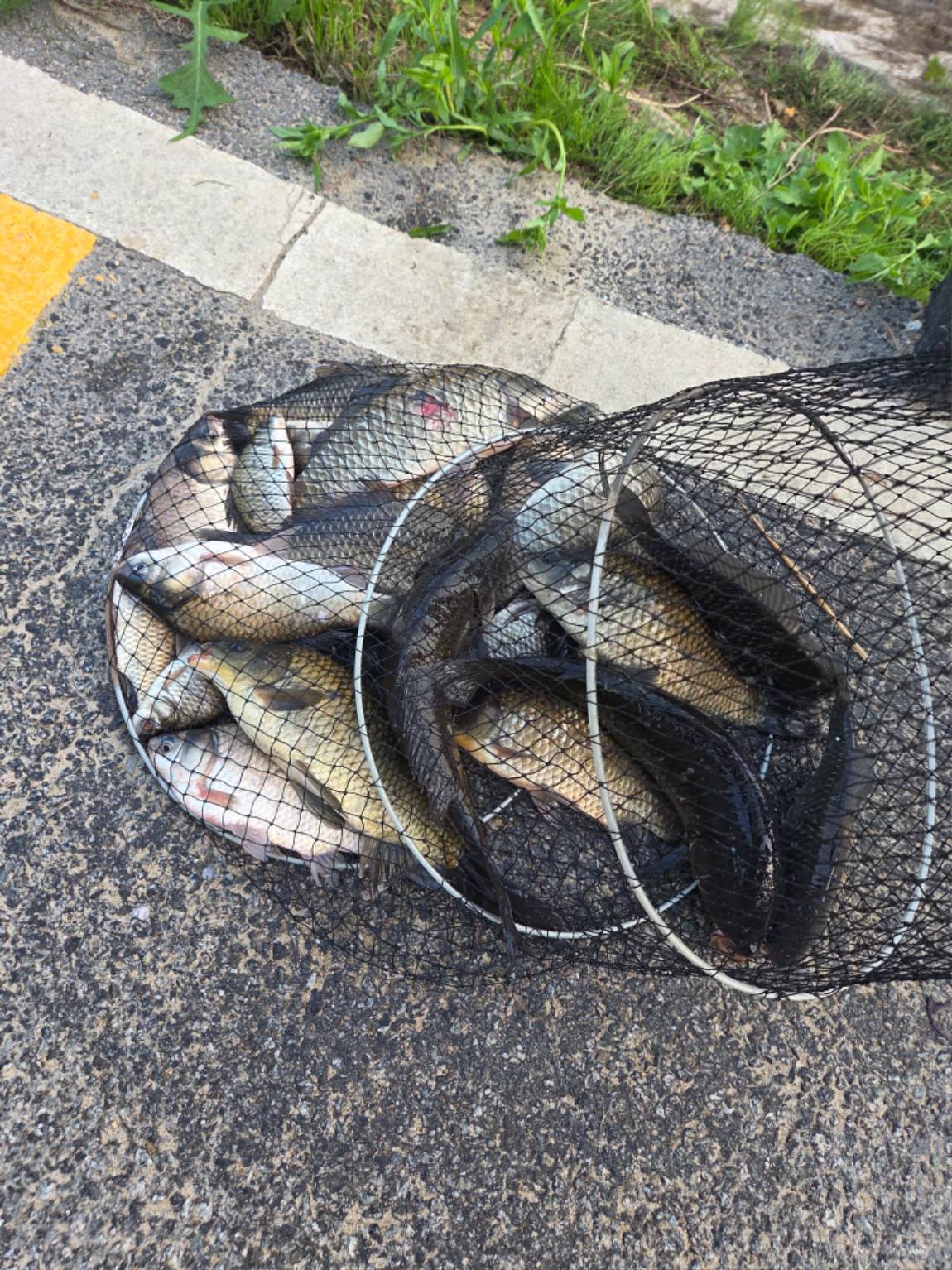 1000023797.jpg