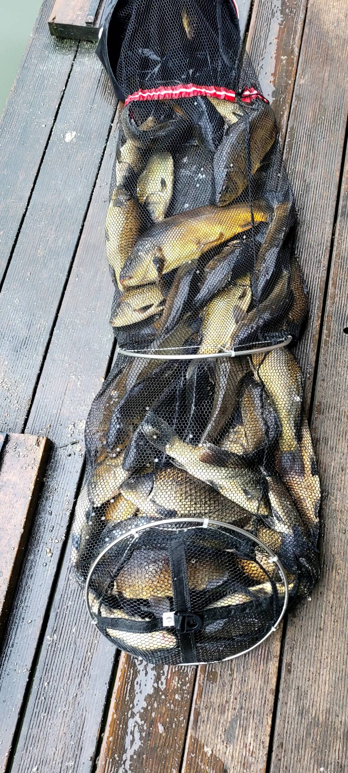 24175.jpg