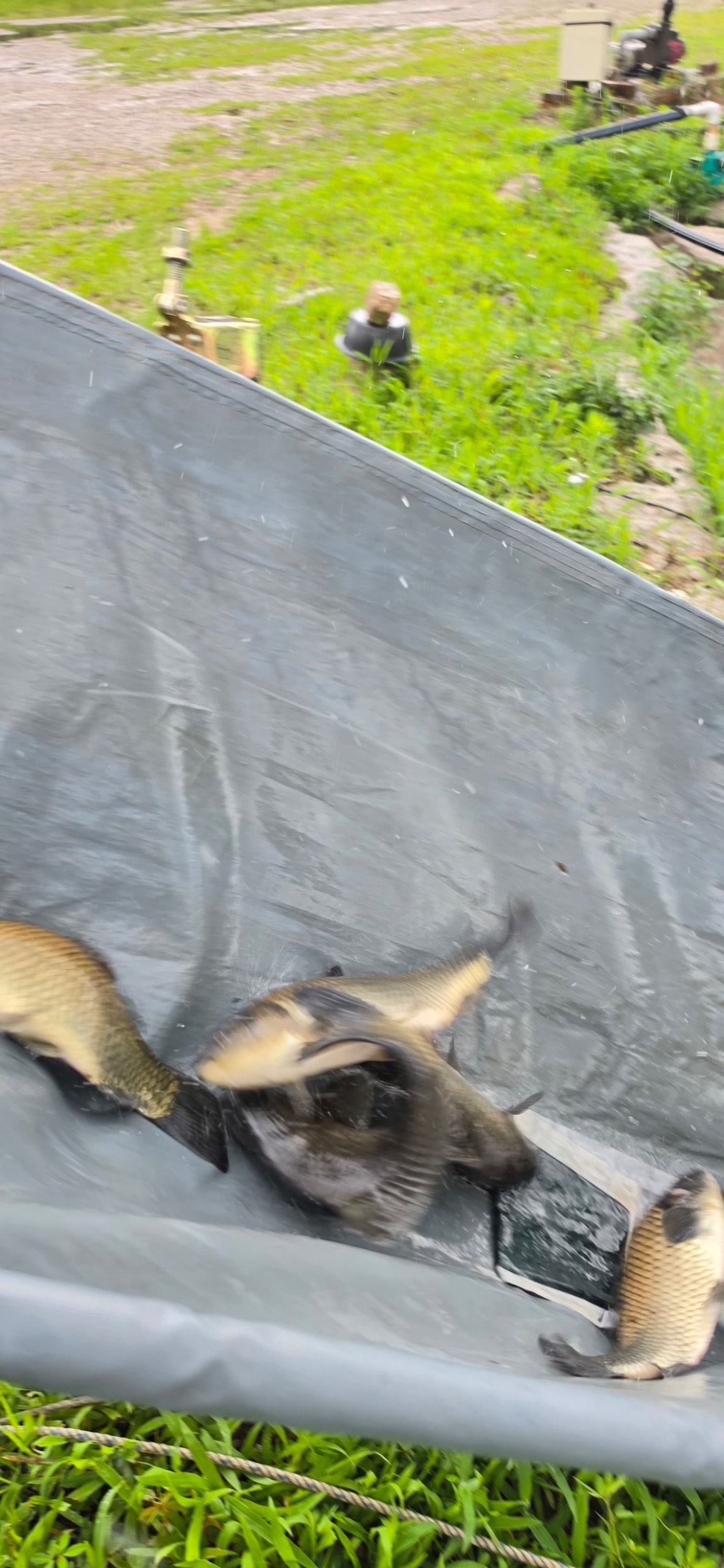 Resized_20260710_122942%281%29_WFMBTBHIDGGGCIICDCXGHFFIDF.jpeg