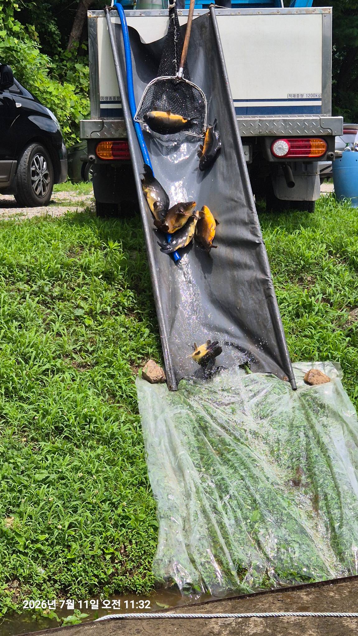 20260711_113240.jpg