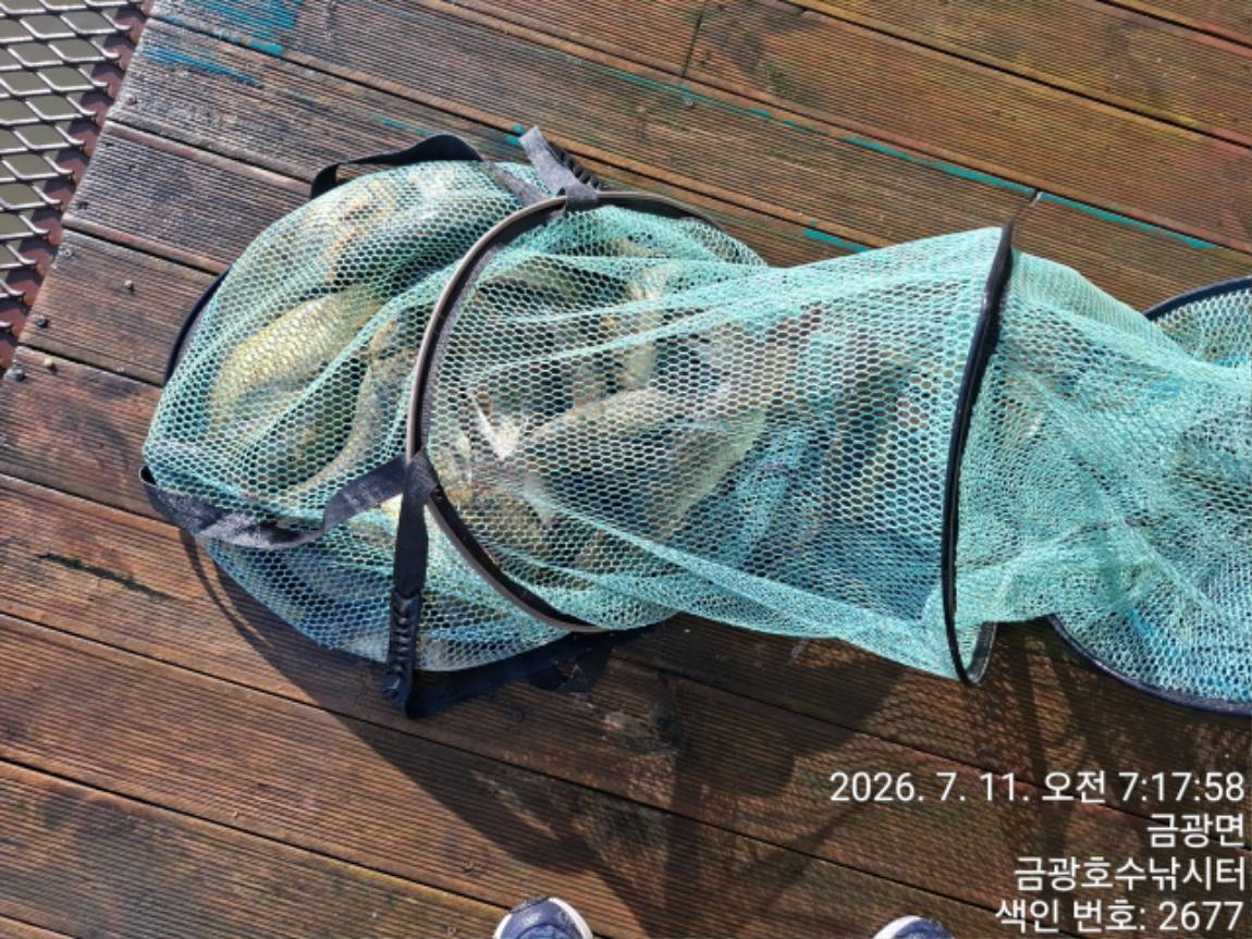 1000054781.jpg