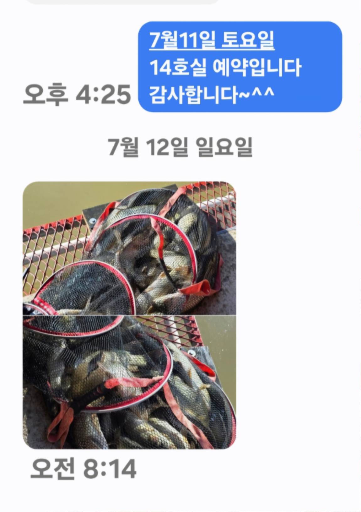 1000032175.jpg