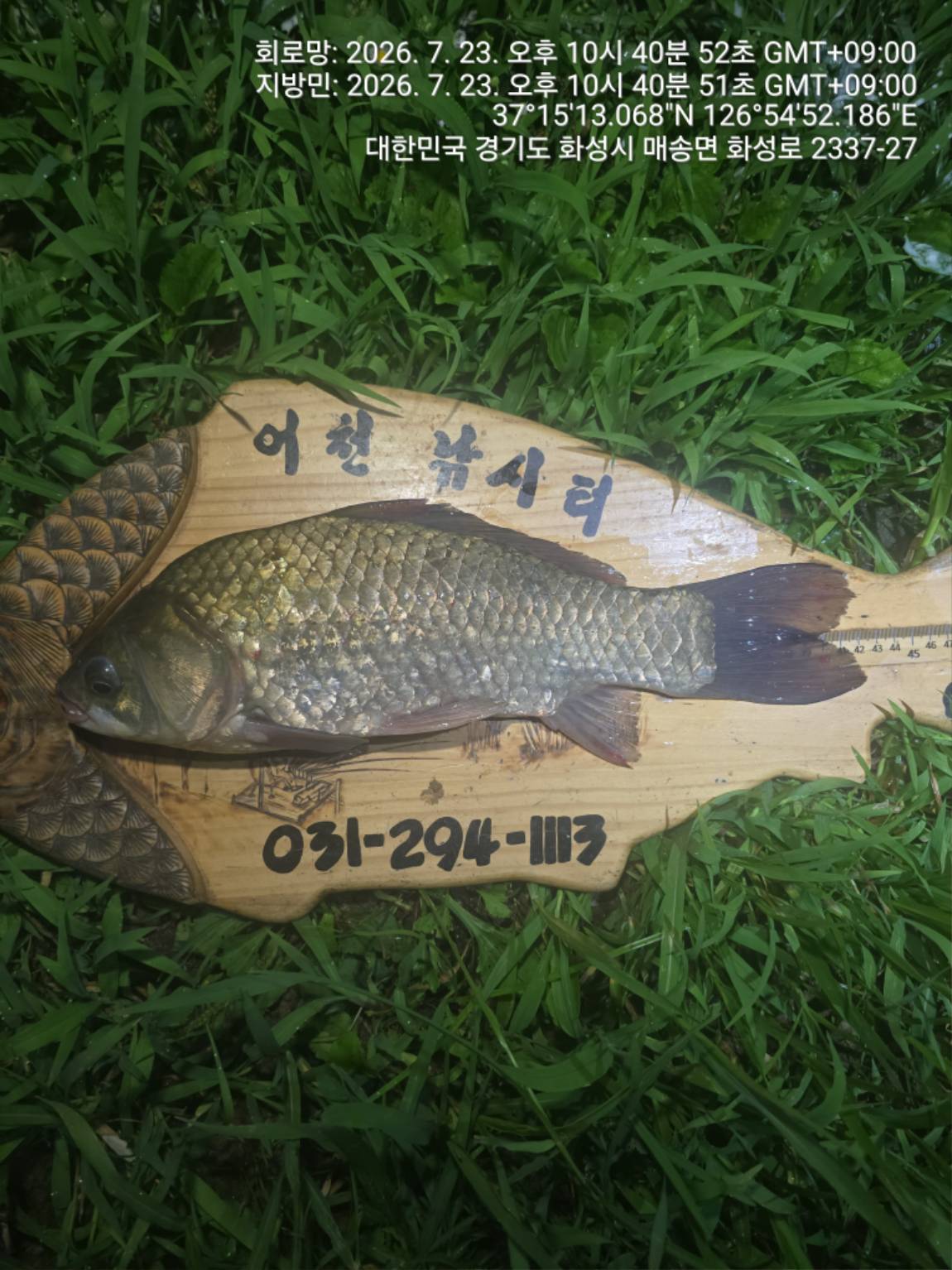 1000113331.jpg