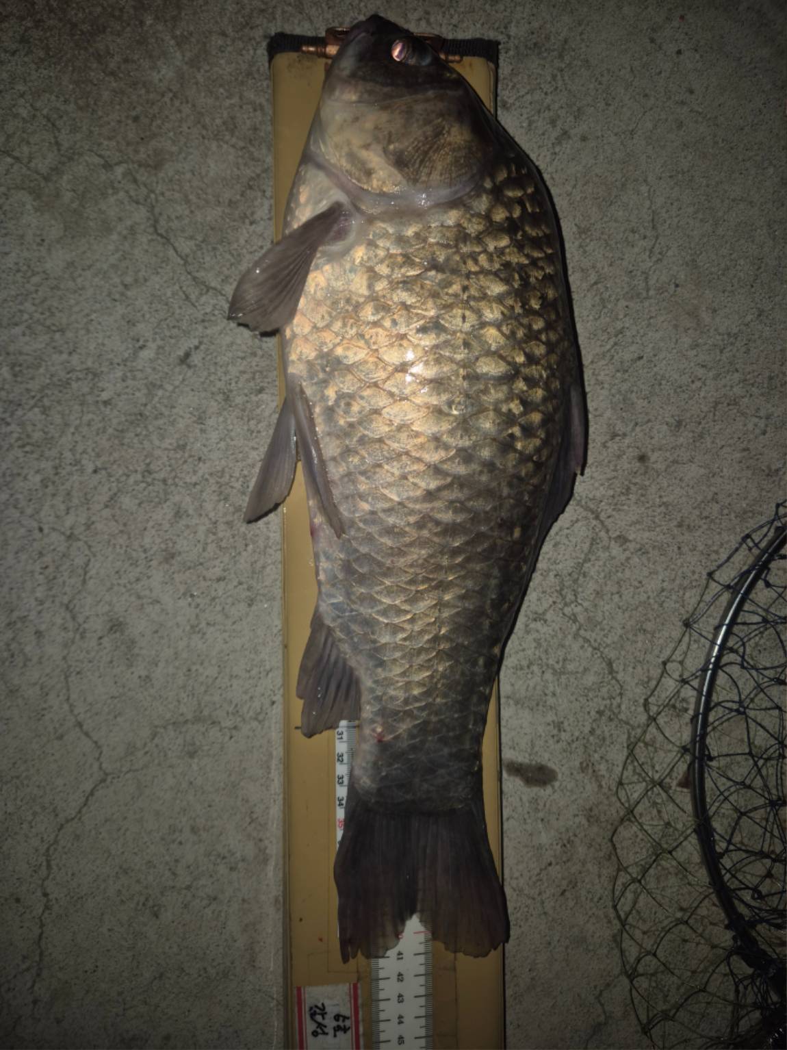 1000113705.jpg
