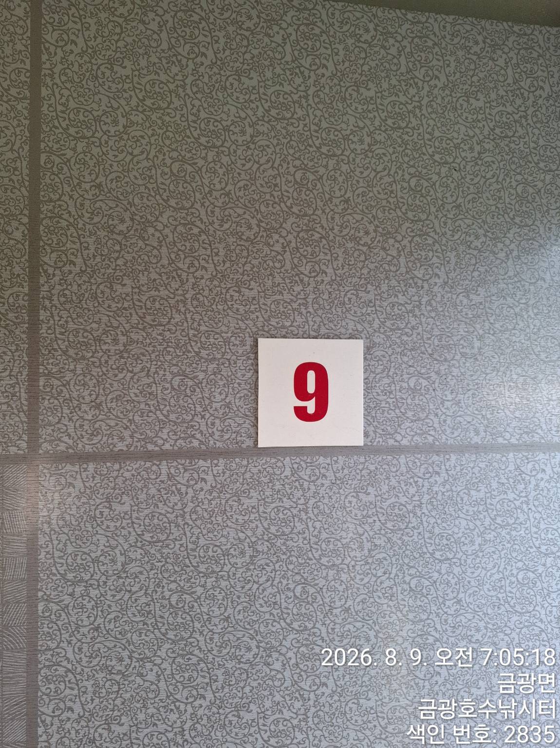 1000056093.jpg