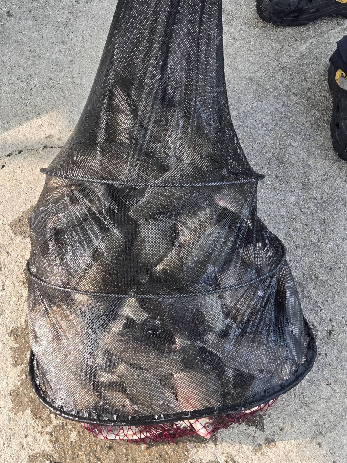 1000039980.jpg