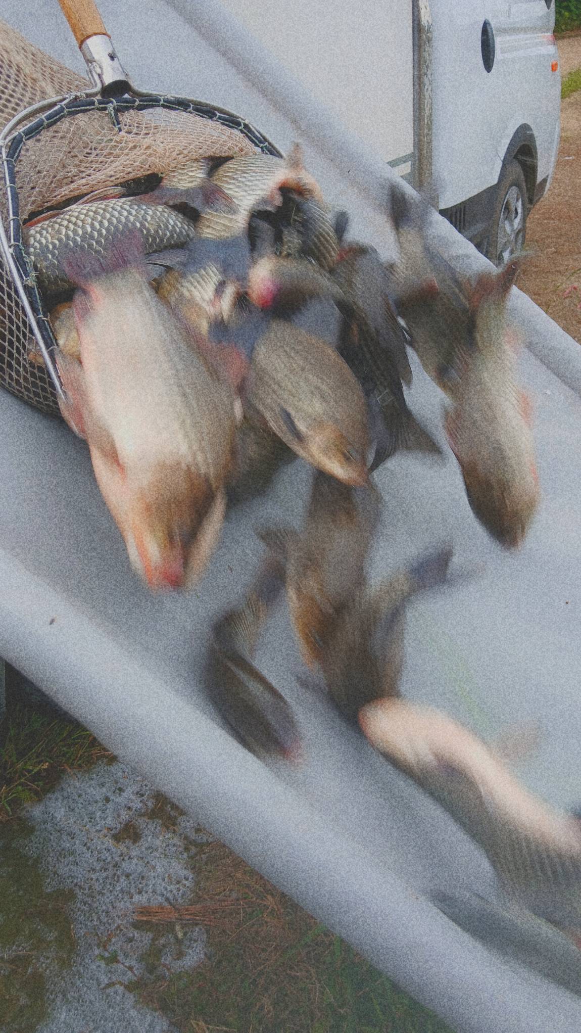 1000034232.jpg