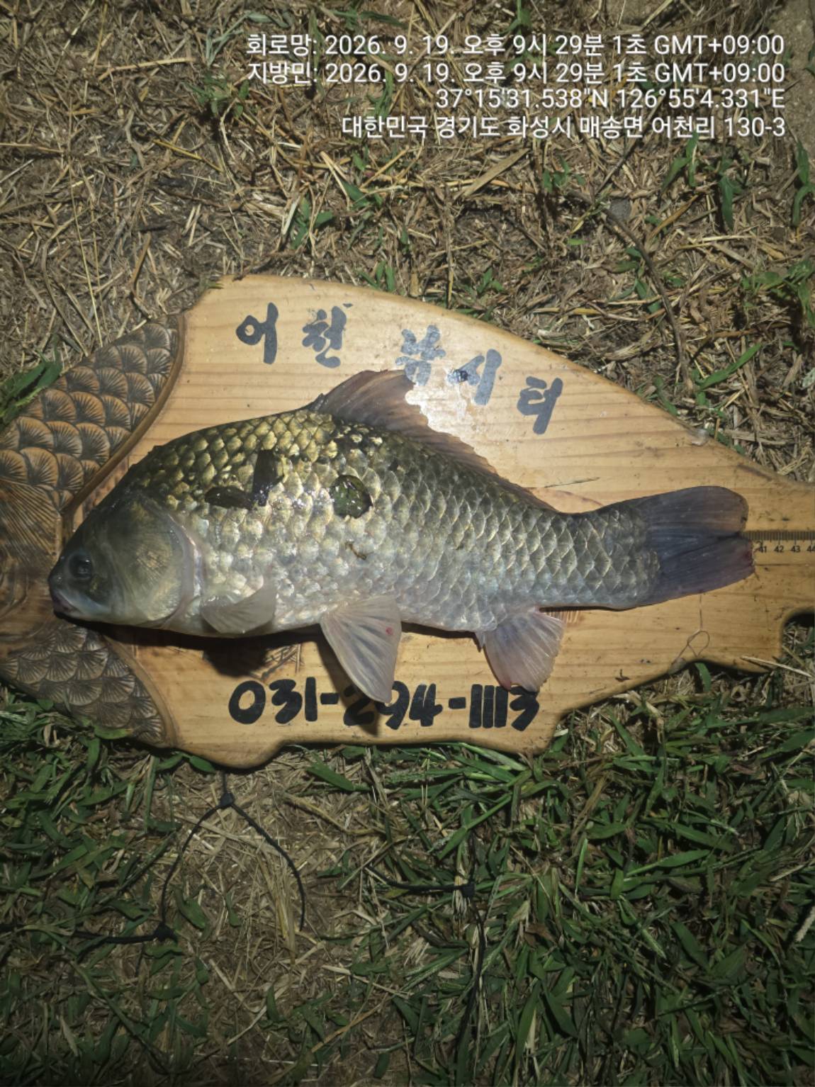 1000121728.jpg