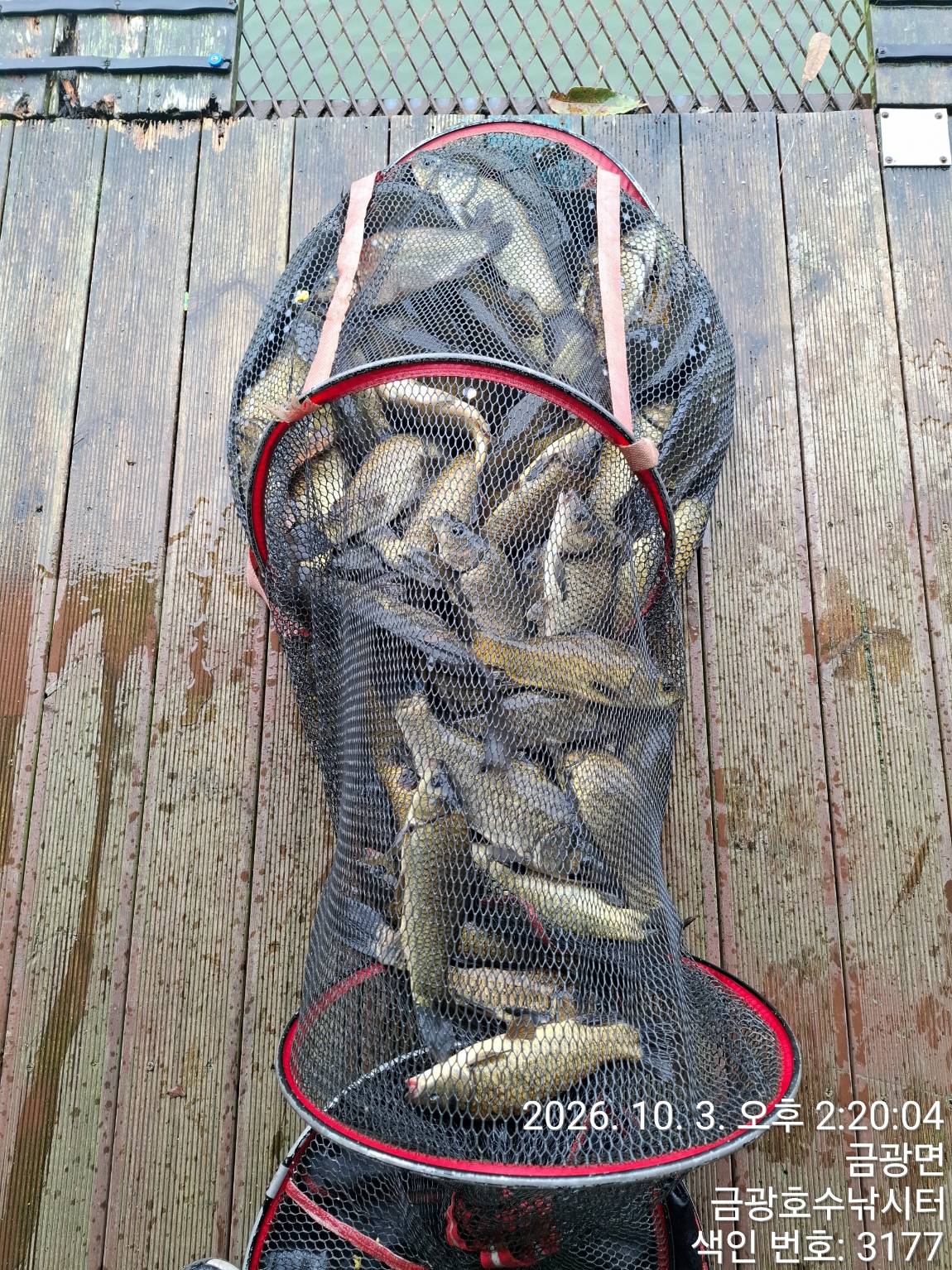 1000058680.jpg