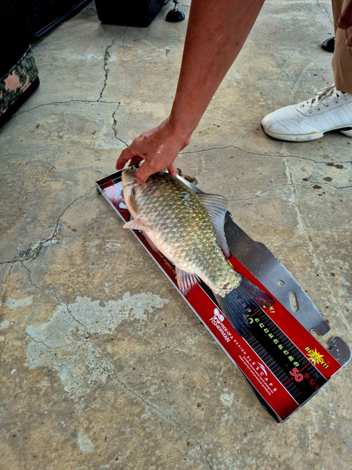 1791099307463.jpg