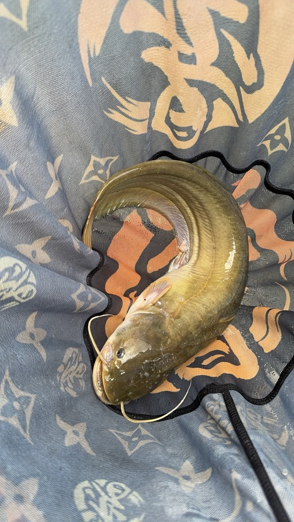 1000043270.jpg