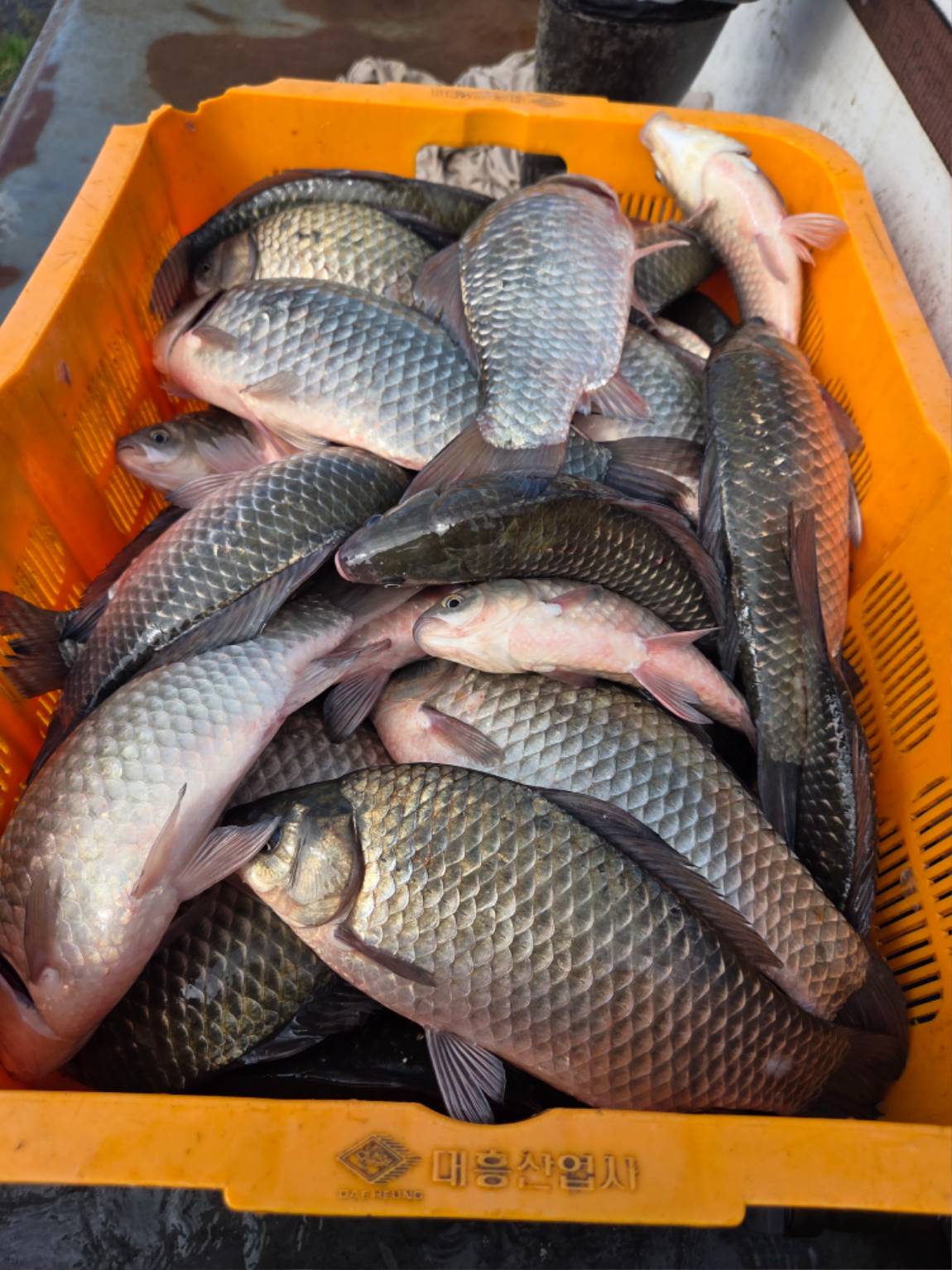 1000031866.jpg