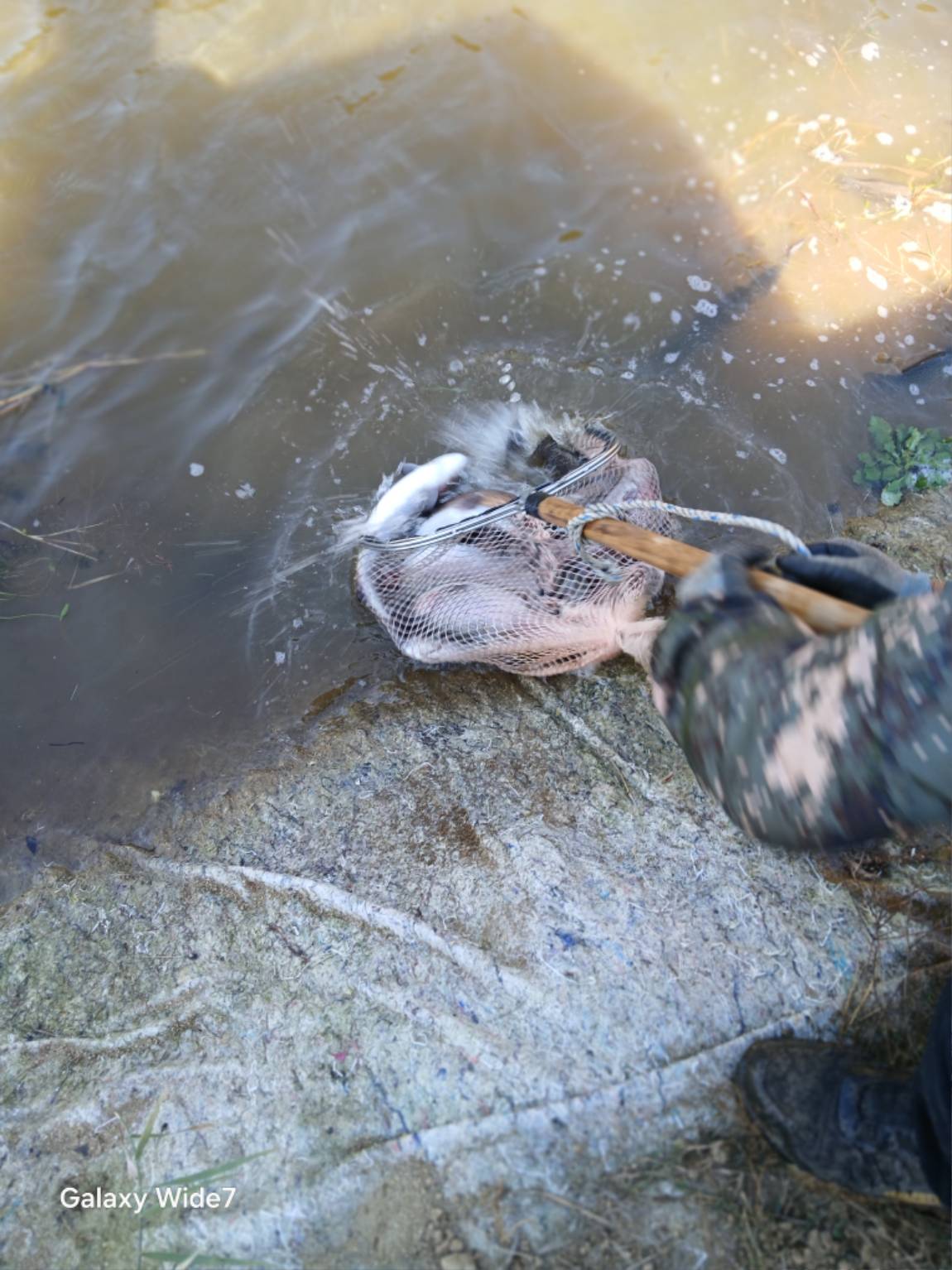 1000037420.jpg