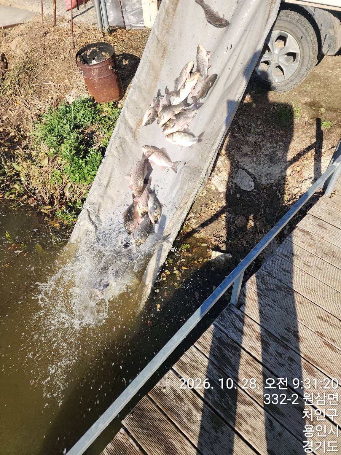 Resized_TimePhoto_20261028_093120.jpeg