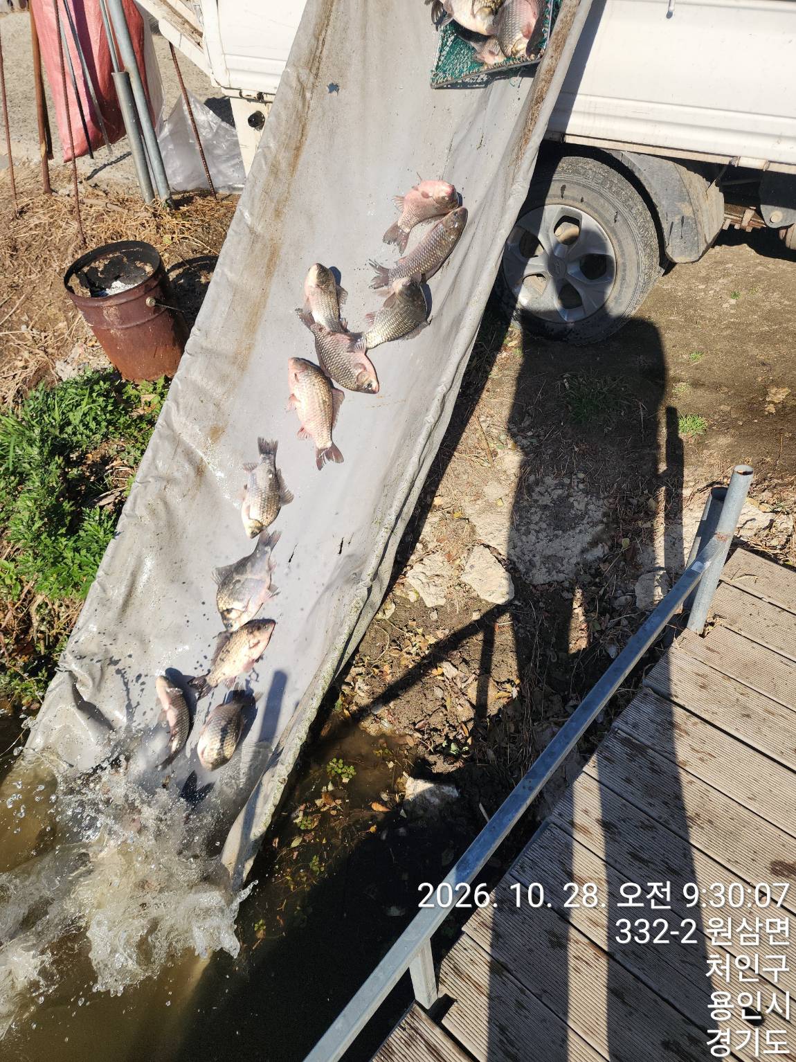 Resized_TimePhoto_20261028_093007.jpeg
