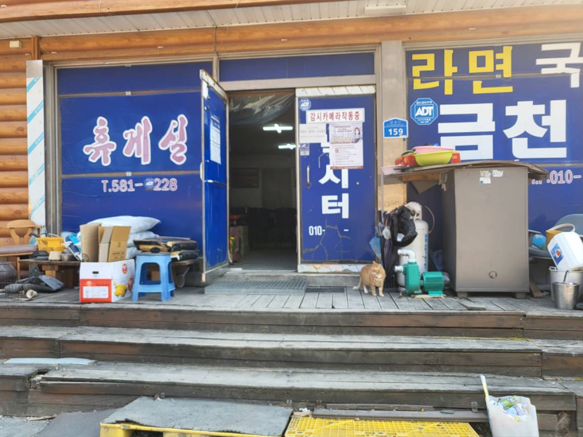 조월선생 > 강원도 태백 금천낚시터 : 낚시사랑