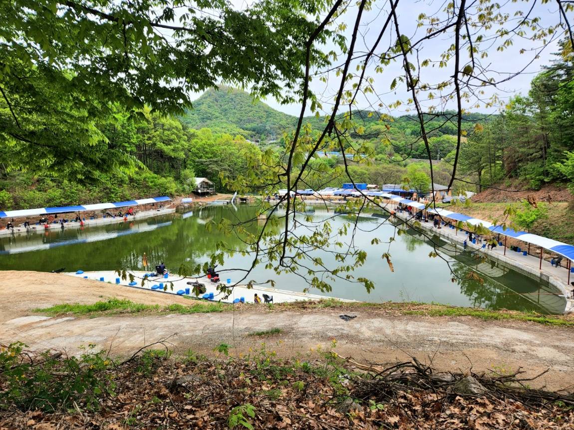 철옥에도윤 > 여주 관광농원 낚시터 : 낚시사랑