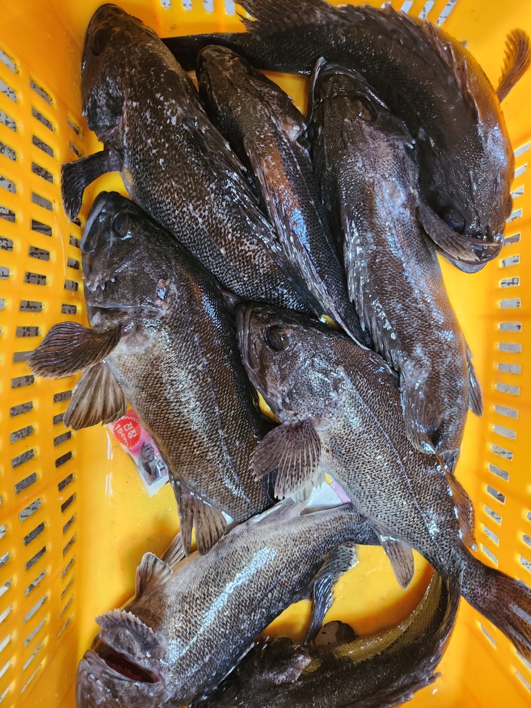 1701502044229.jpg