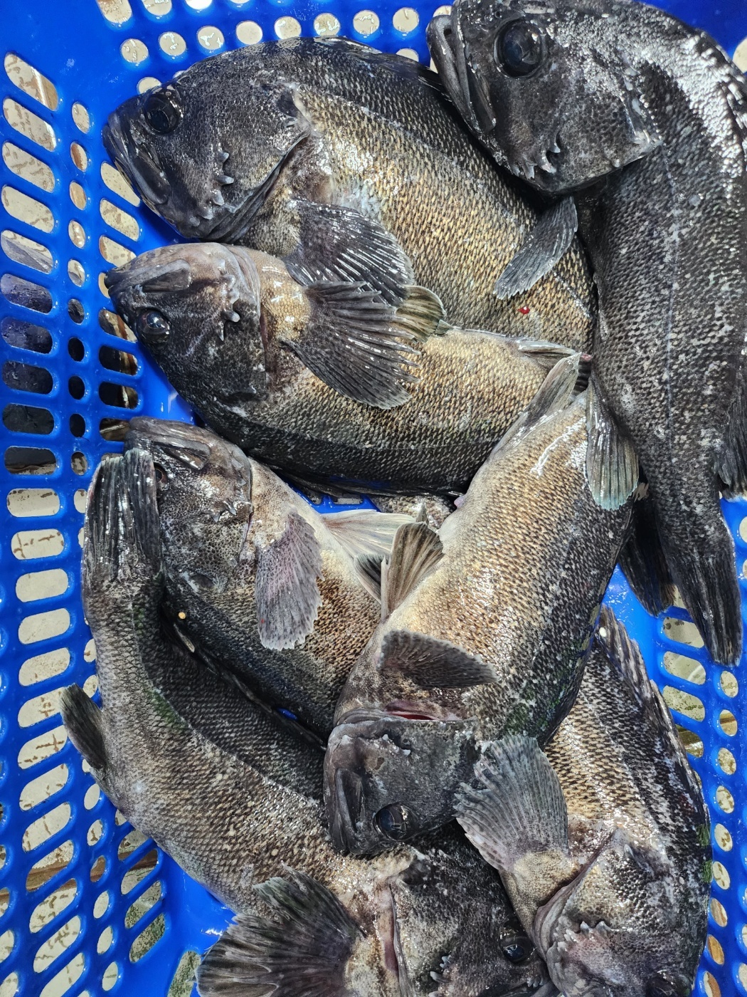 1701502044005.jpg