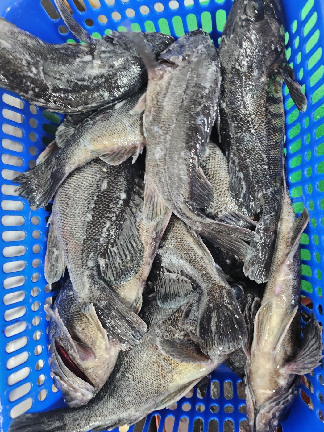 1701502043912.jpg