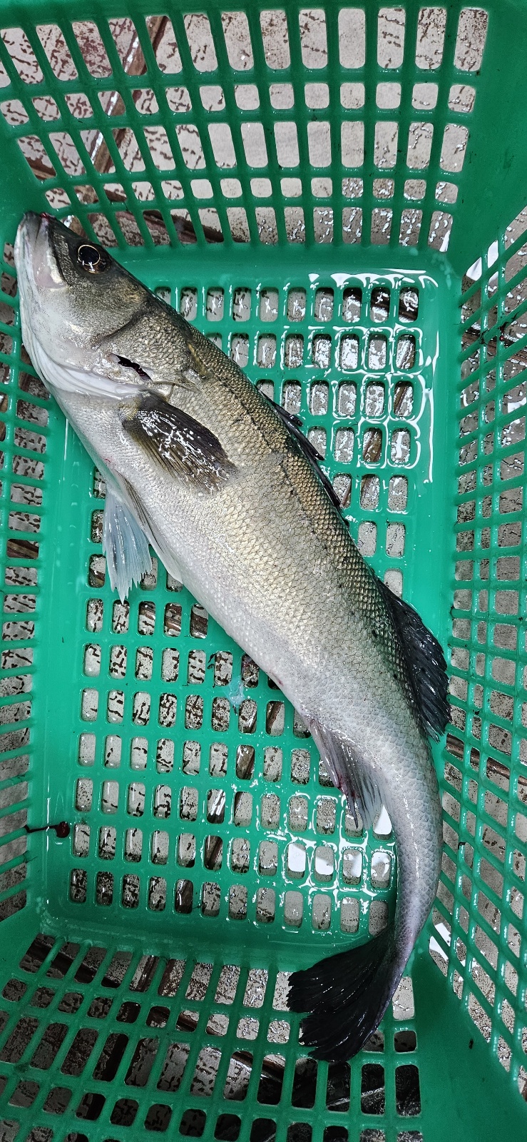 1701502044509.jpg