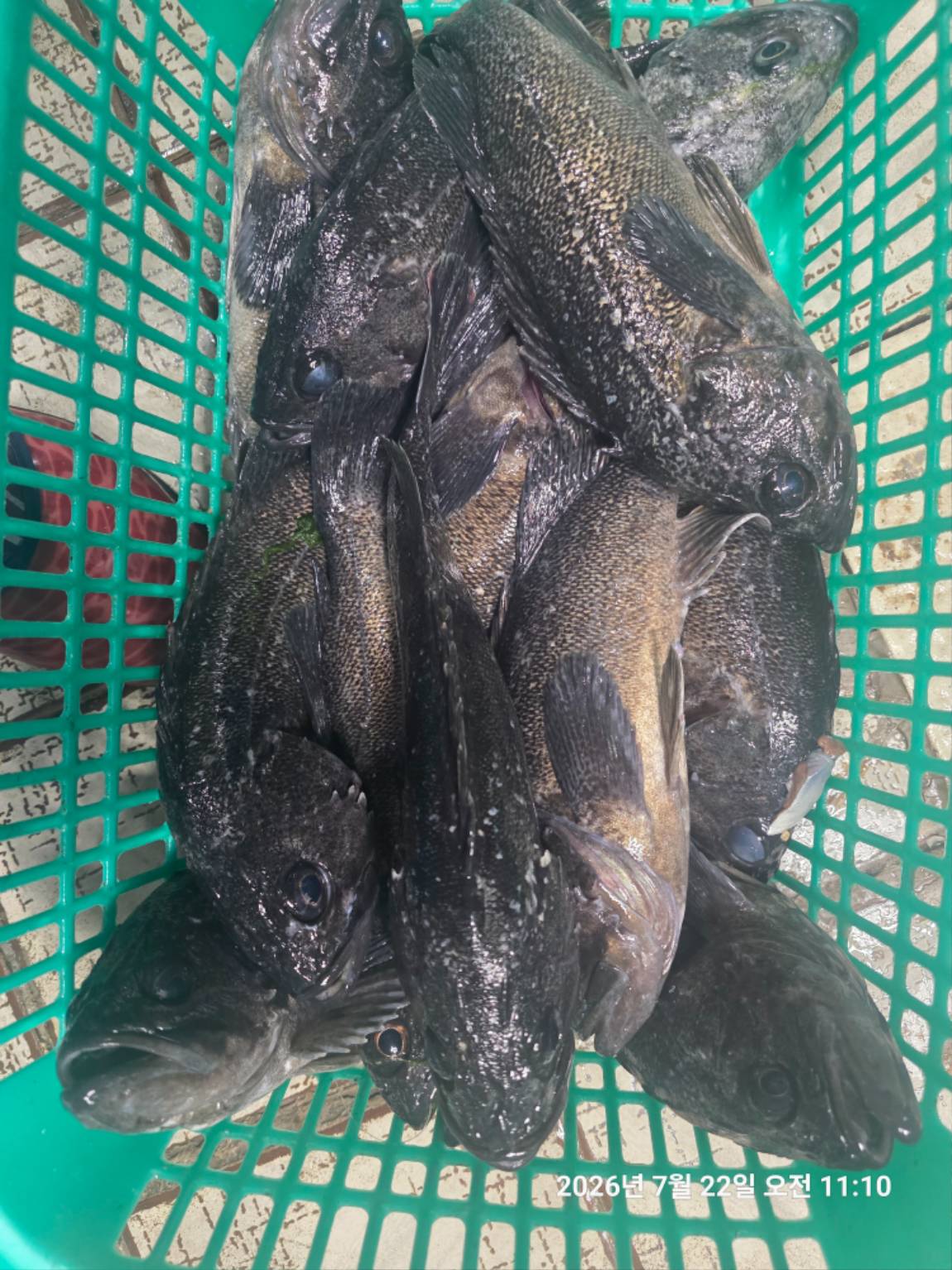 1784881081034.jpg