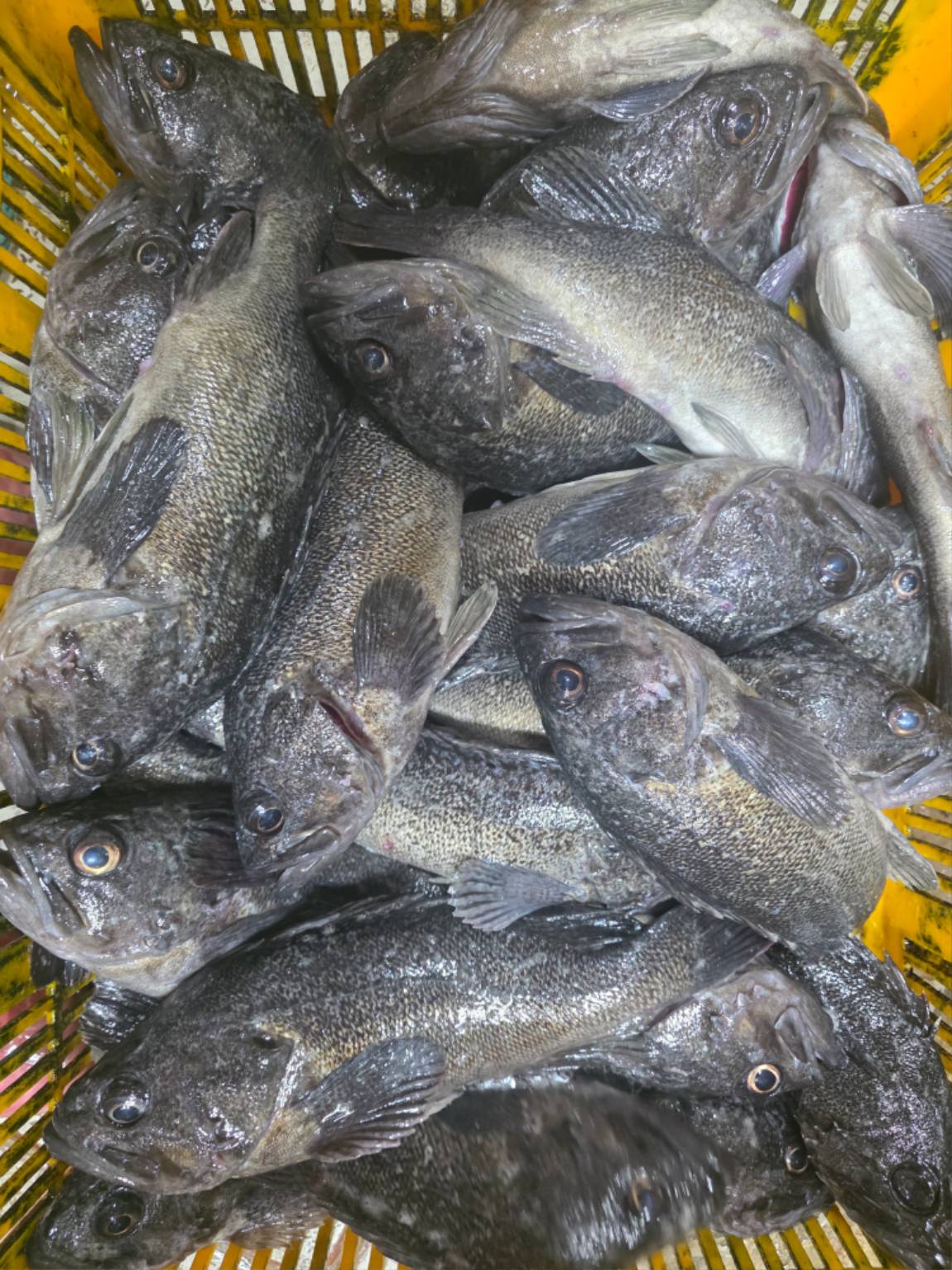 1785660638655.jpg
