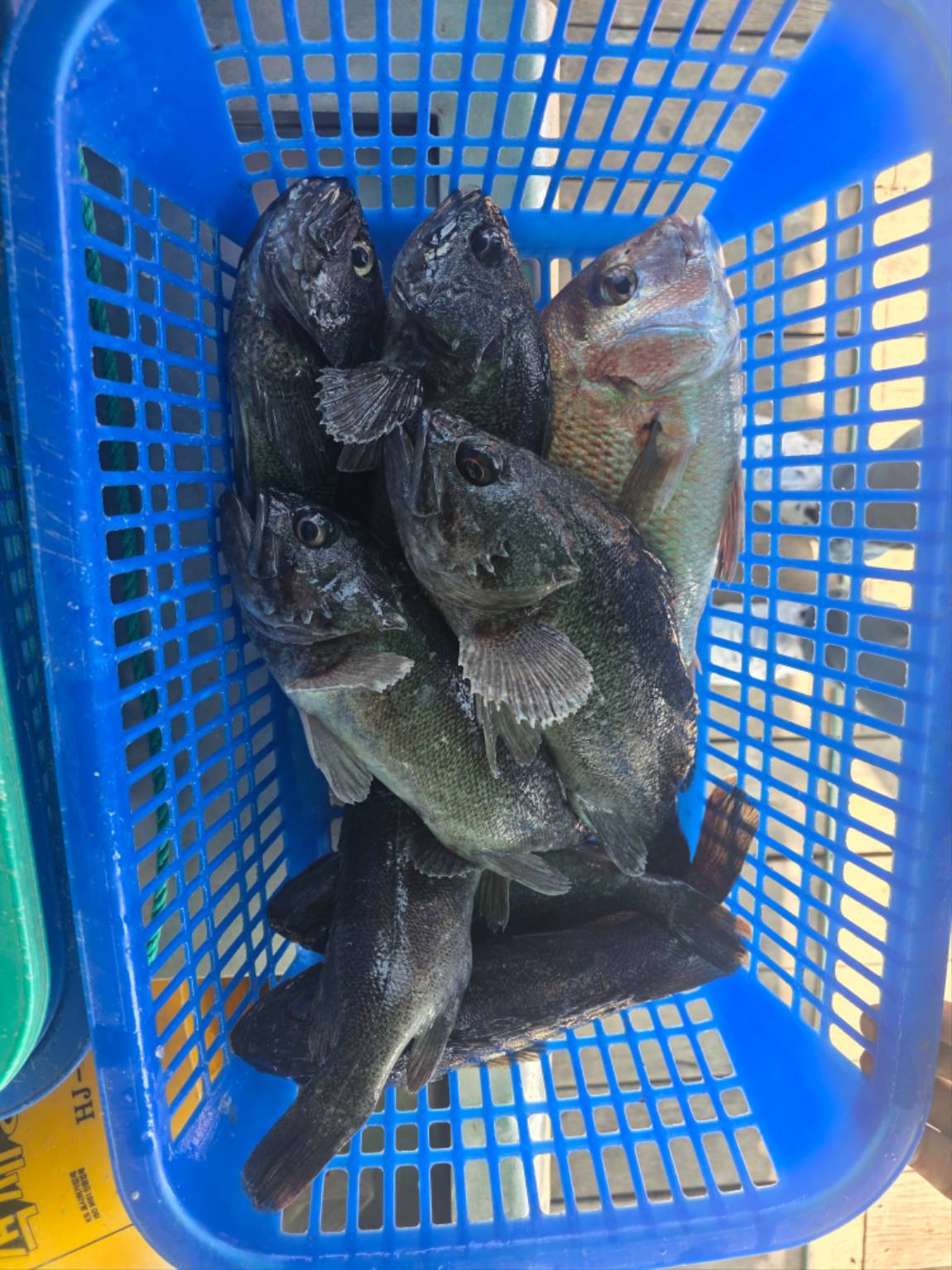 1790761696698.jpg
