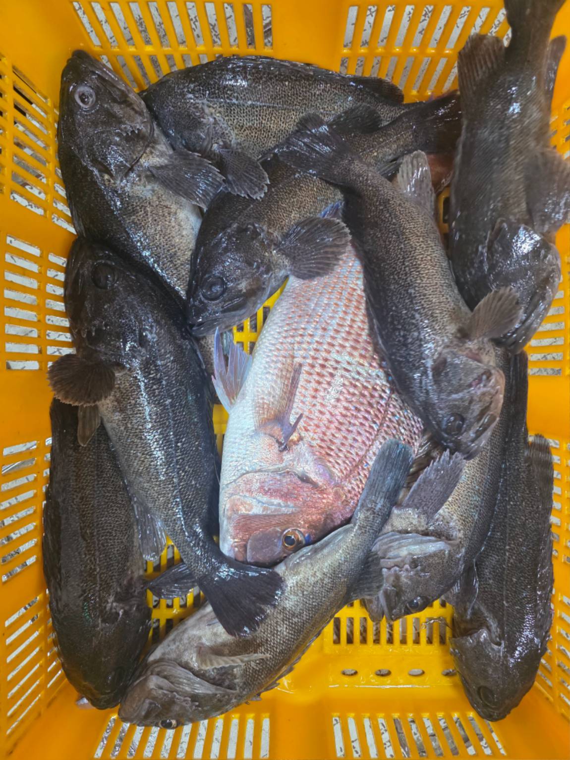 1791705804050.jpg