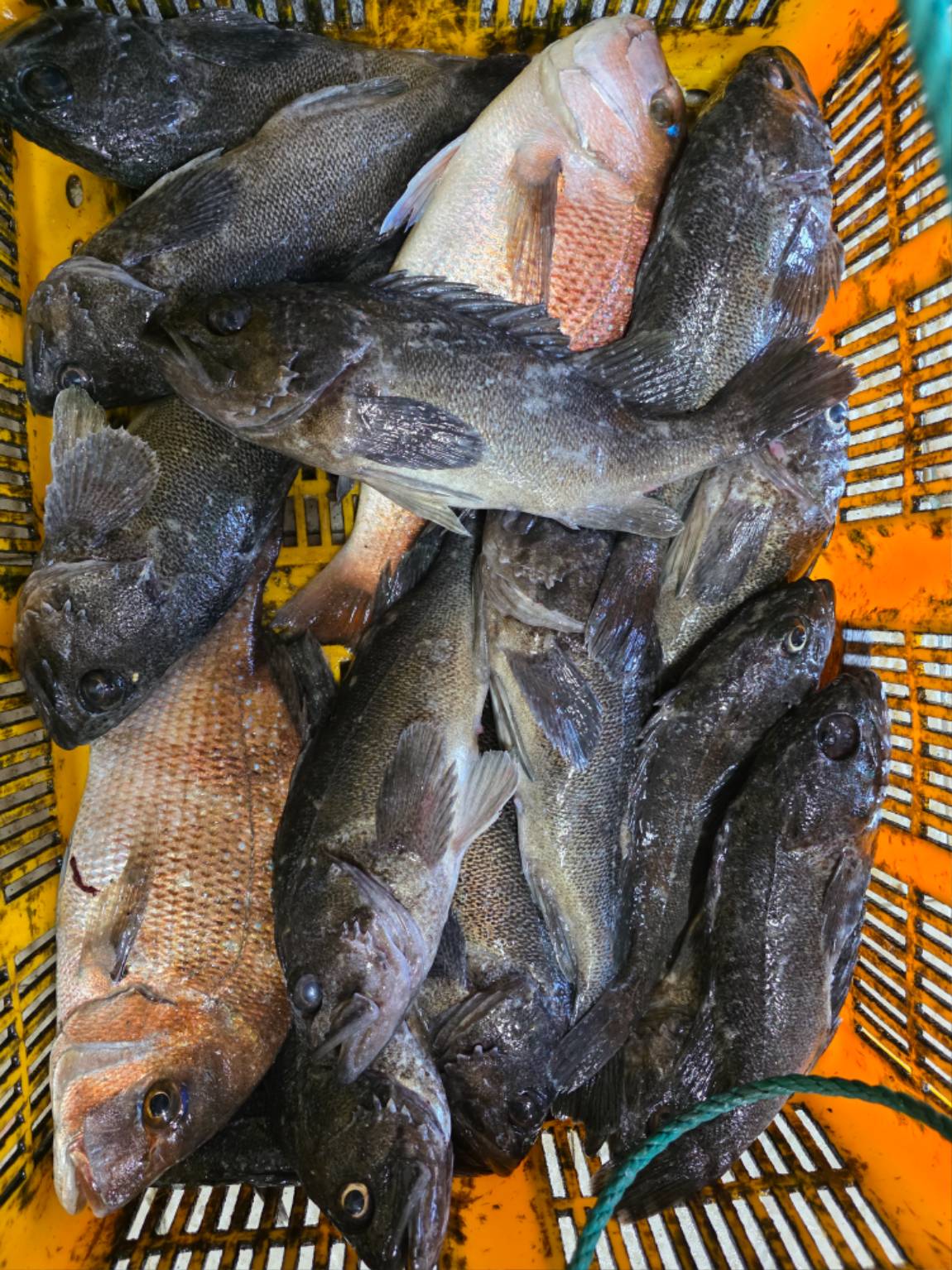 1792012218075.jpg