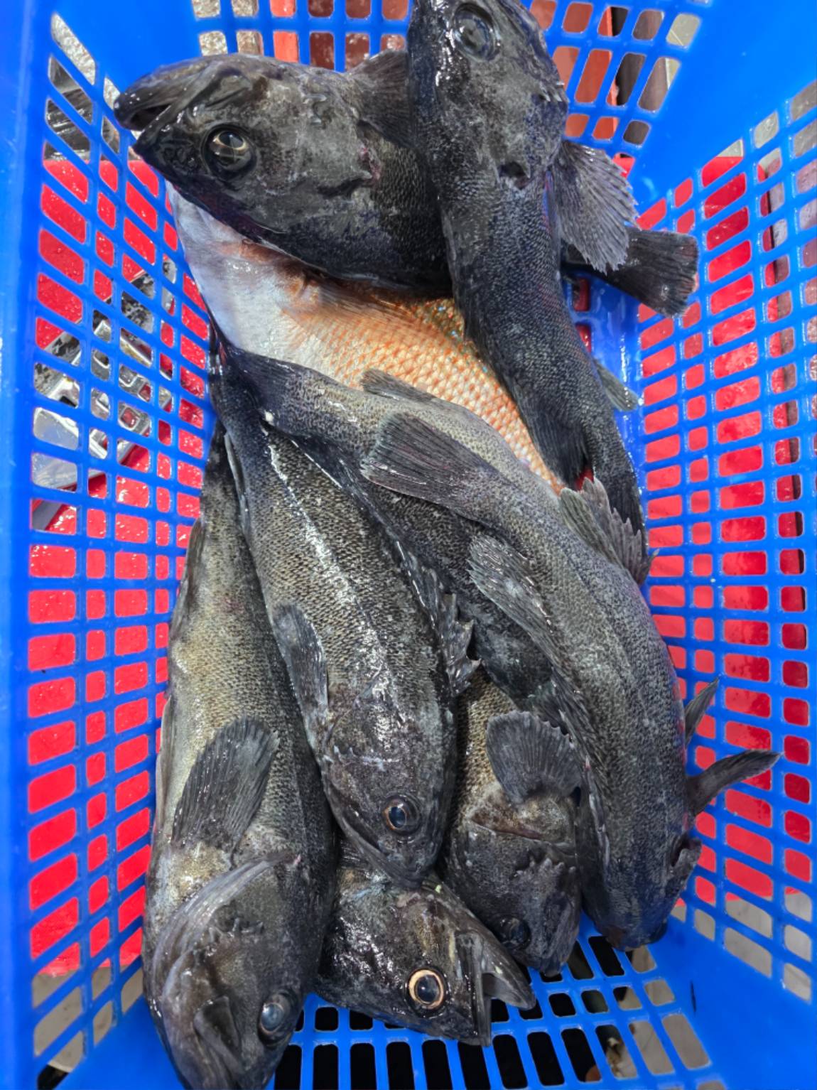 1792012217505.jpg