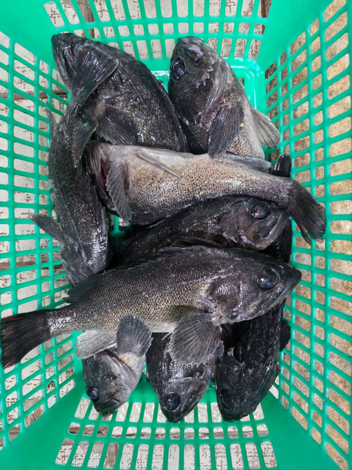 1792012217131.jpg