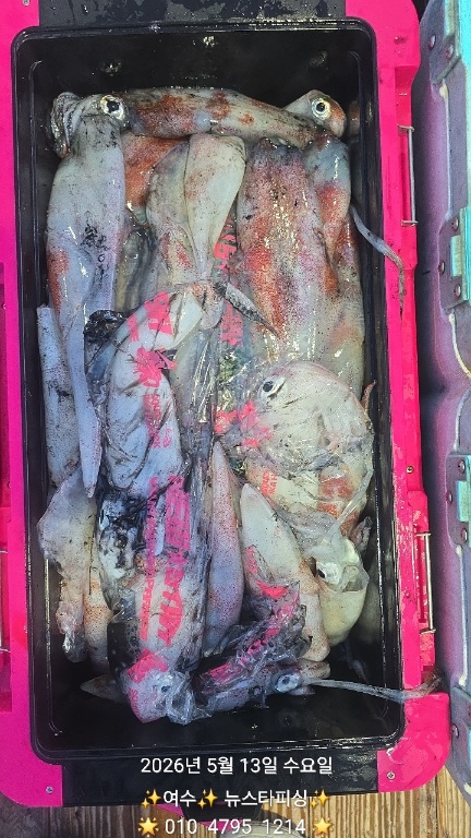 9633.jpg