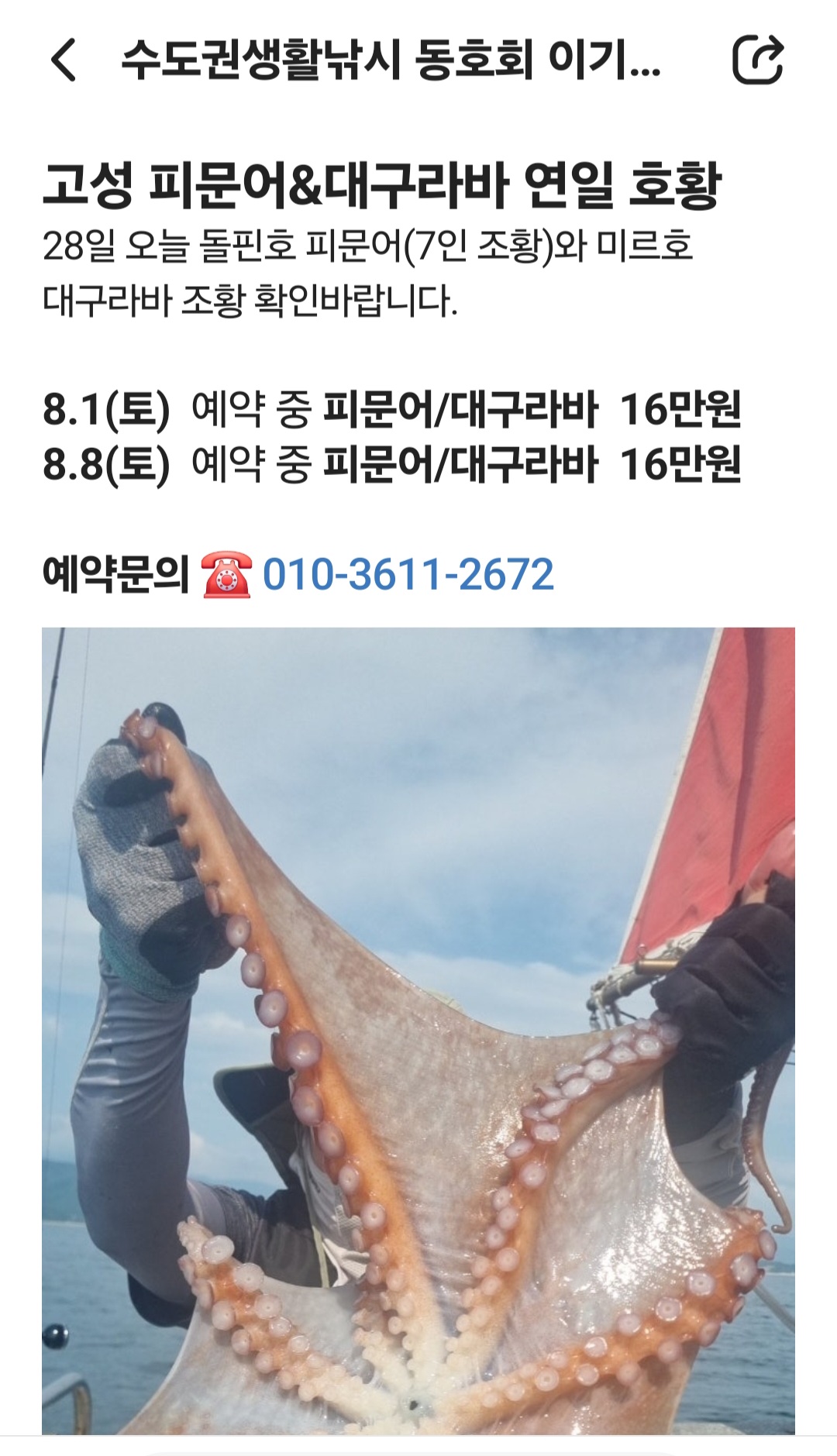 14729.jpg