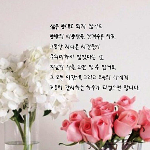IMG_1631.jpeg