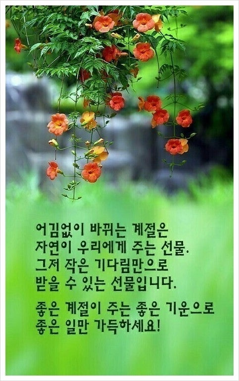 IMG_1767.jpeg