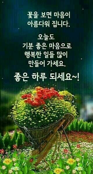 IMG_1996.jpeg