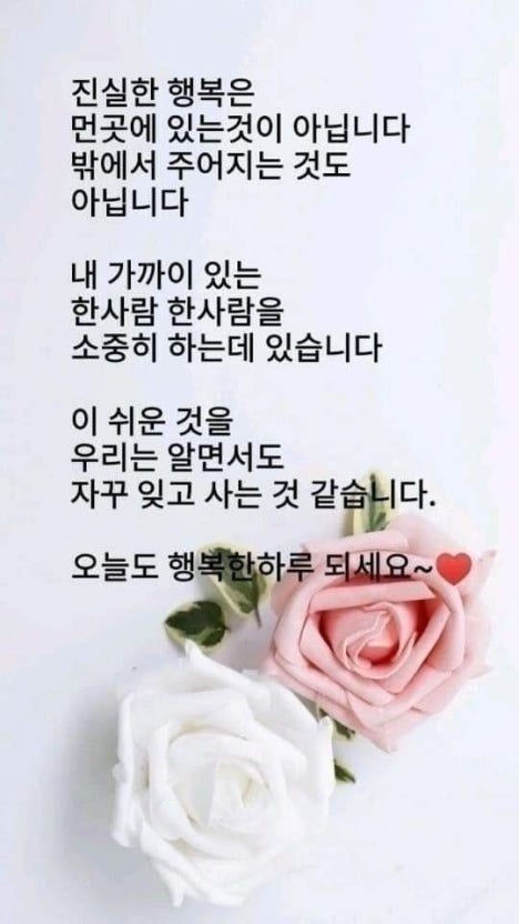 IMG_2055.jpeg