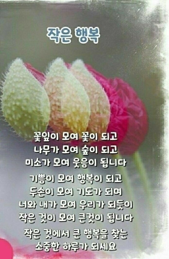 IMG_2069.jpeg
